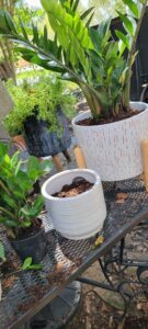 espinozalawnservice.com