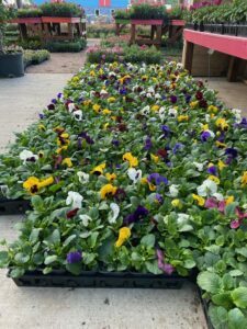 espinozalawnservice.com