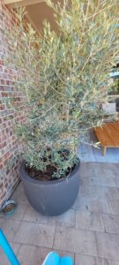 espinozalawnservice.com