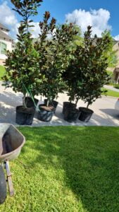 espinozalawnservice.com