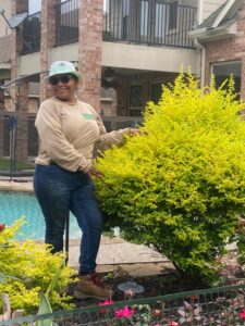 espinozalawnservice.com