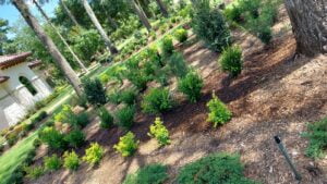 espinozalawnservice.com