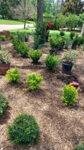 espinozalawnservice.com