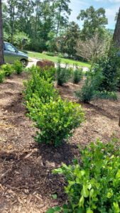 espinozalawnservice.com