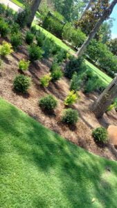 espinozalawnservice.com