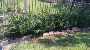 espinozalawnservice.com