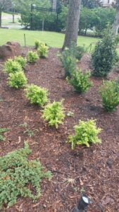 espinozalawnservice.com