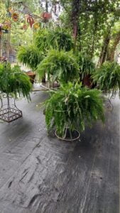 espinozalawnservice.com