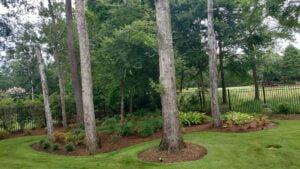 espinozalawnservice.com