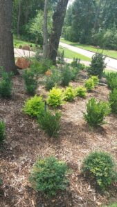 espinozalawnservice.com