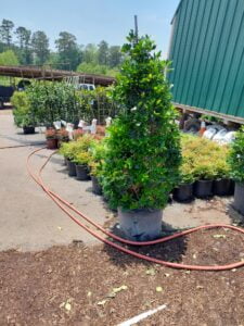 espinozalawnservice.com