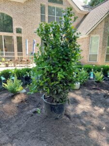 espinozalawnservice.com