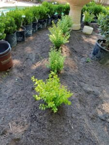 espinozalawnservice.com