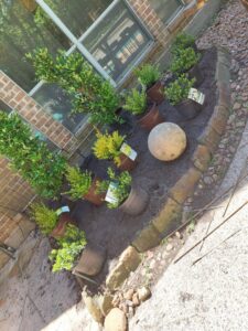 espinozalawnservice.com