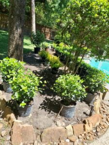 espinozalawnservice.com