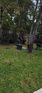 espinozalawnservice.com