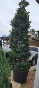 espinozalawnservice.com