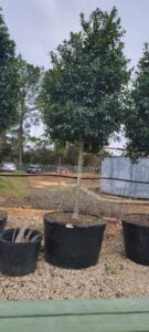 espinozalawnservice.com