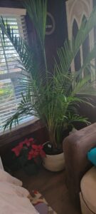 espinozalawnservice.com