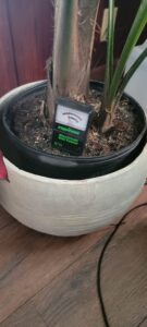 espinozalawnservice.com