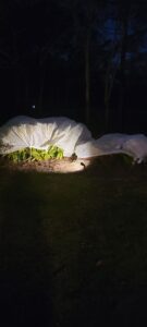 espinozalawnservice.com