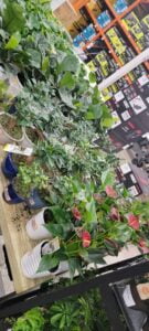 espinozalawnservice.com