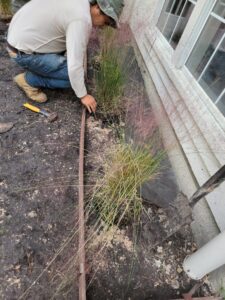 landscaping the woodlands tx