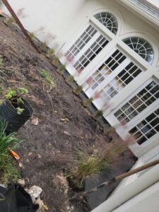 landscaping the woodlands tx
