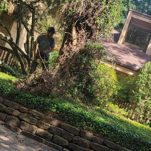 Espinoza’s Lawn Service espinozalawnservice.com