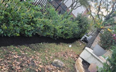 Espinoza’s Lawn Service espinozalawnservice.com