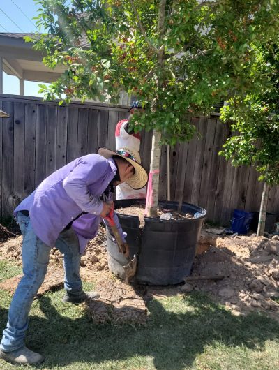 Espinoza’s Lawn Service espinozalawnservice.com