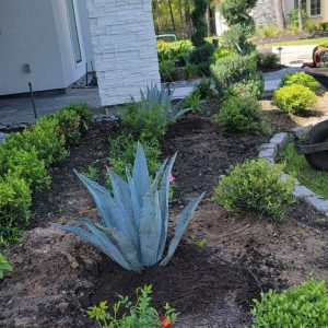 Espinoza’s Lawn Service espinozalawnservice.com